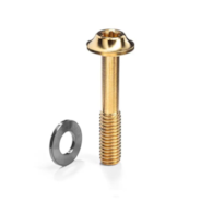 Śruba Absoluteblack Titanium Flat Mount Bolt M5 x 22mm, złota