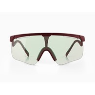 Okulary Alba Optics DELTA CHR VZUM F-LENS BTL Photochromatic