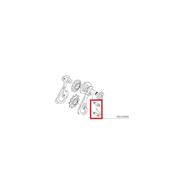 Śruba Campagnolo RD-CH030 mocująca kółka, 2 szt