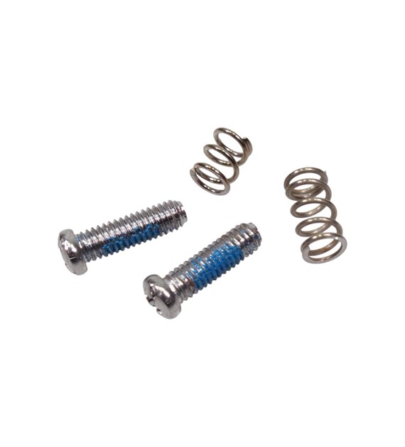 Śruba Campagnolo RD-RE110 blokująca